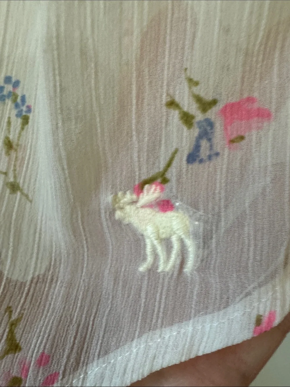 Abercrombie & Fitch Vintage Peasant baby doll sheer White Blouse,pink roses